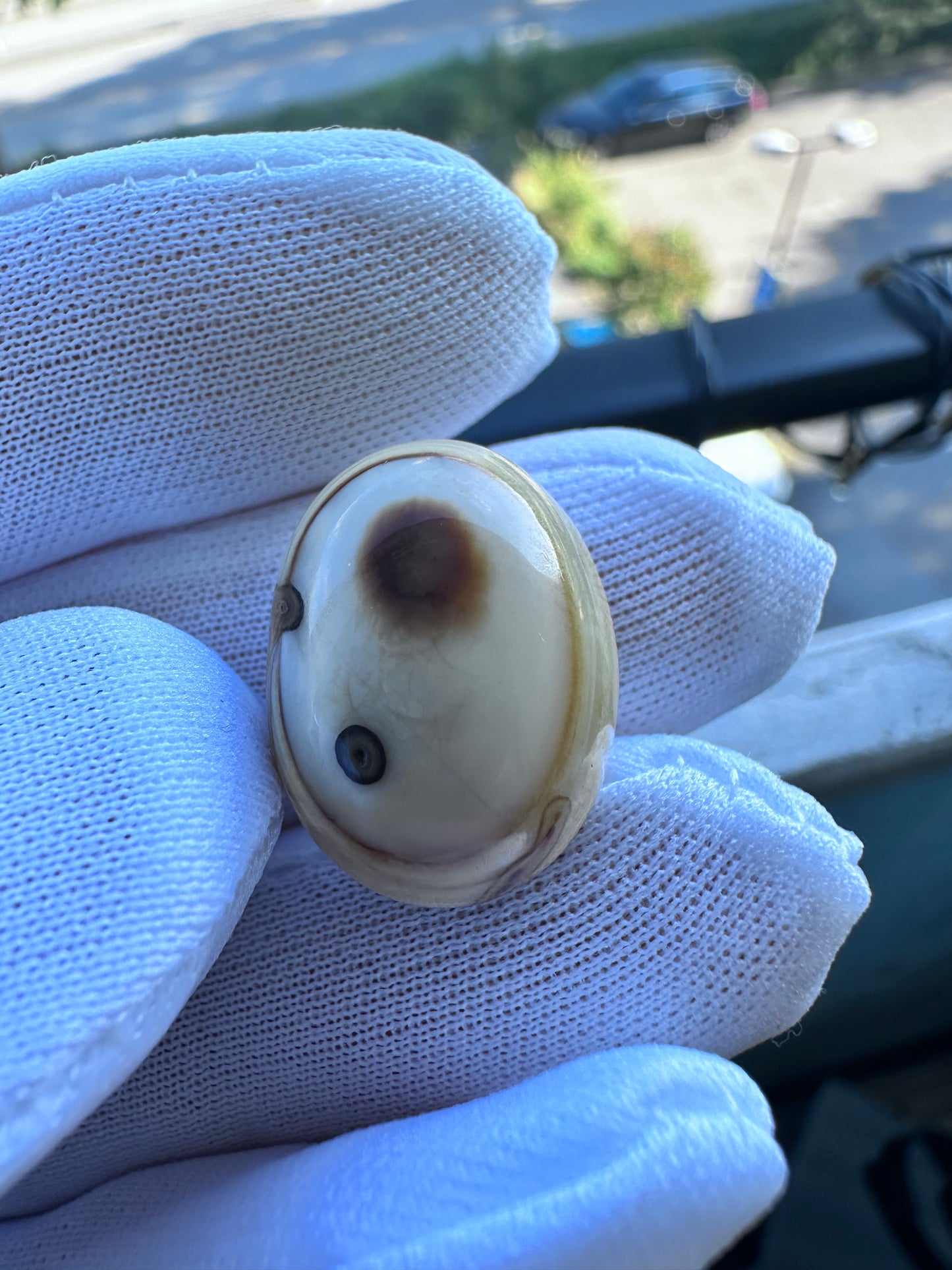 Natural white yellow eye agate 31.25 ct