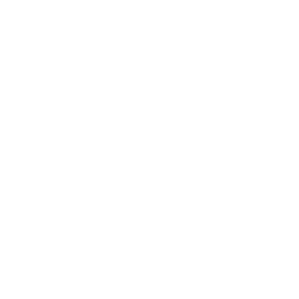 TheVisionGems